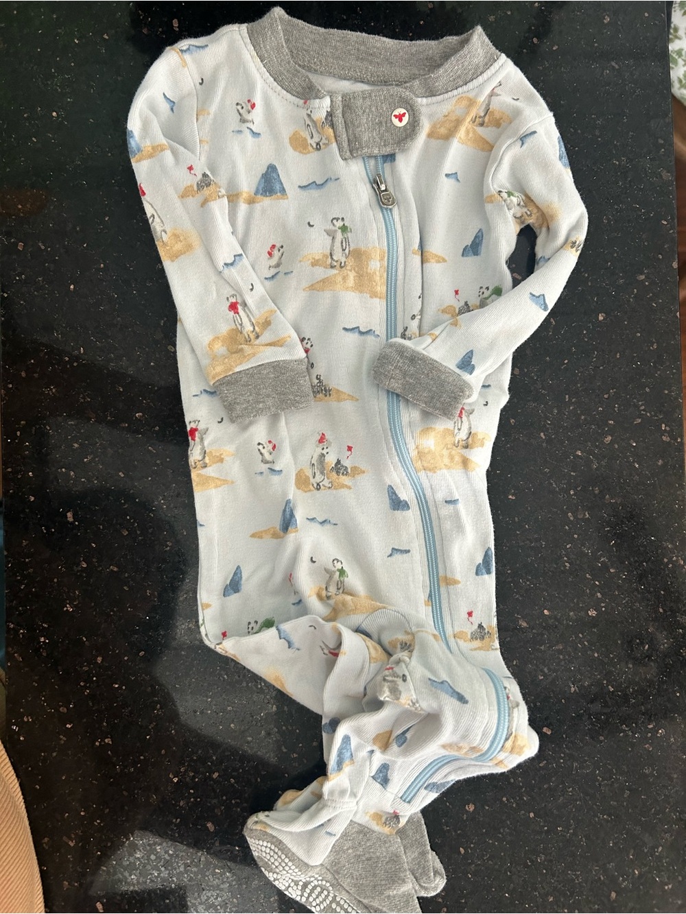 Burt’s Bees Footie Pajamas - Winter scene